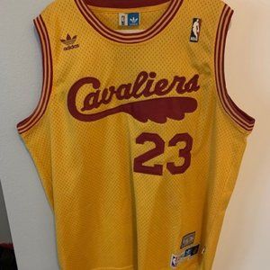 LeBron James Cavs Jersey XL (Mens)
